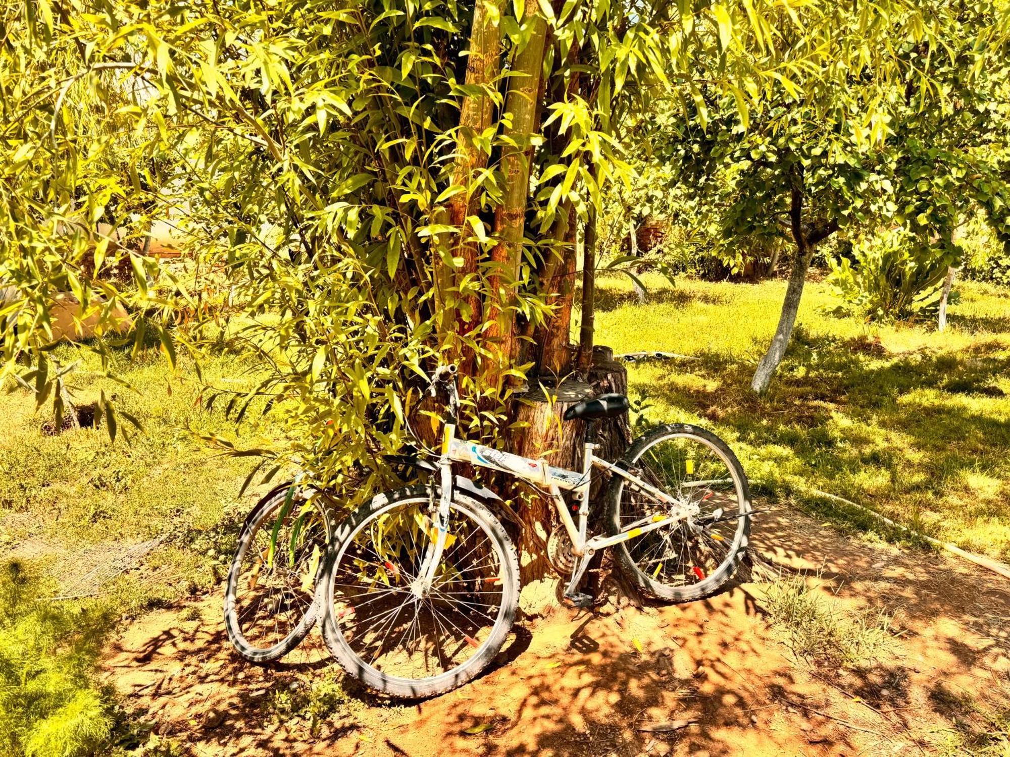 Eco House Summer Garden Kaji-Say Exteriér fotografie